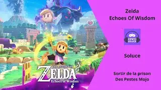 Comment sortir de la Prison des Pestes Mojos Firone Zelda Echoes Wisdom