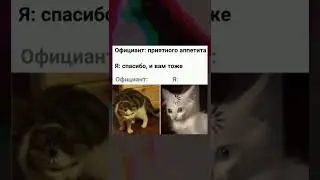 meme