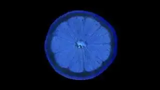 Julian Haffner - My Lectronic Mind