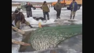 Лучшие Приколы 2017