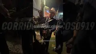 Seguimos Chambeando al Estilo Cholo Vago 🎶🐺 #corridosbelicos #corridos2024 #corridos #culiacan