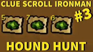 I HATE CABBAGE! - Clue Scroll Ironman #3 (Hound Hunt)