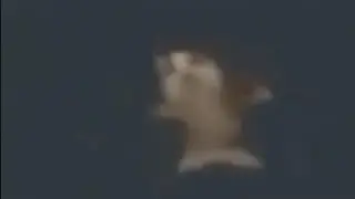 шни шна шнапи шнапи шнапи шнапи
