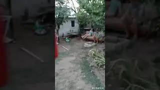 супер паркур 🙀