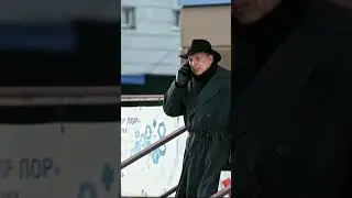 Пёс смешные моменты 