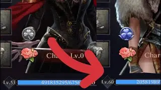 Clash Of Kings: How to Increase Lord Level Fast!