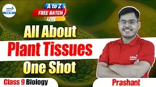 All About Plant Tissues One Shot | Class 9 Biology | 