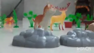 Little Animal World