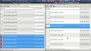rotate multiple pdf files with the same name