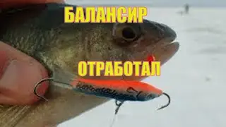 Окунь на балансир.