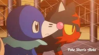 Rowlet Always Sleeping