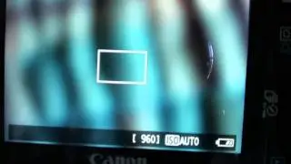 How to get a better focus with the Canon T2i