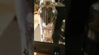 Cary 300 sei demo