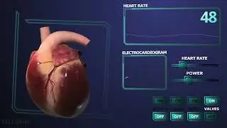 Heart Demo