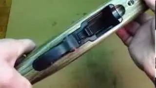Tearing Down And Cleaning The Ruger 10/22 by How-to Bob