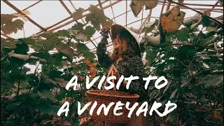 Day Trip To Vineyards | Myanmar | Pyin Oo Lwin Travel Vlog