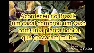 O sentido de rezar através de uma alegoria