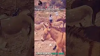 Peregrinación al Abra de Punta Corral - Jujuy Argentina - SuperSordo vlog de viajes - 