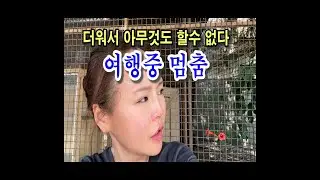 🇷🇸연일 체감온도40도 넘는 불볕더위! 여행도 잠시 쉬어가기.세르비아 소고기나 뜯자😋🍖#serbia #beograd #한달살기 #세계여행 #walter