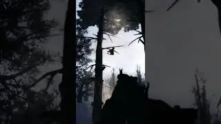Anomaly Saves Me 