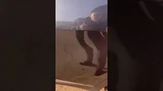 Kia Sportage Luxe в продаже