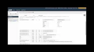 How to point custom IP to DNS in WHM - 