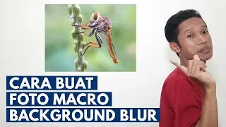 Cara Buat Foto Makro Dengan Backgound Blur | Tips Fotografi Macro