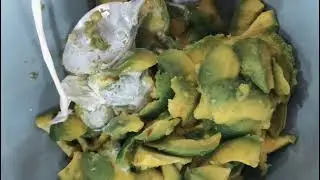 Avocado (Simple dessert)