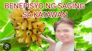 Banana Benefits | Saging Benefits sa ating kalusugan #healthbenefits