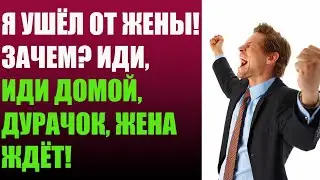 Я ушёл от жены! Зачем? Иди, иди домой, дурачок, жена ждёт!