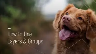 How to Use Layers and Groups in BeFunky