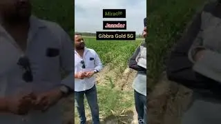Some field promotion activity done by Inagro