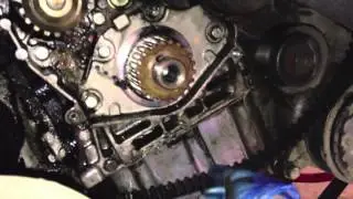 Peugeot 406 Timing Belt Change