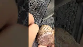 Cutting Beach Jasper  