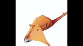AÆHAHAHAHAHHEHEHAHAHÆHAHAÆHA