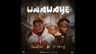 Soundcard ft D Sherif Waawaye [ Fools ] ( Audio Slide )