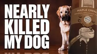 14% Vault City Maple Crema Imperial Stout Almost Killed My Horny Dog!