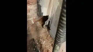 Работа по профилю
