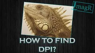 Find the correct DPI value for your laser