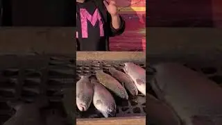 Уловы наших гостей