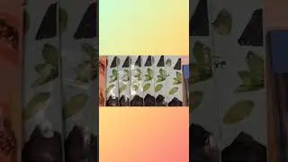 Весна -время применять маски: для волос, для лица, для ног.