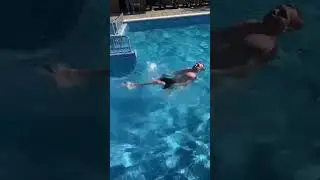 СПОРТ СИЛА