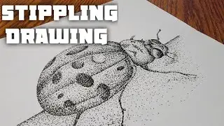 Stippling Drawing #41 - How to Draw Lady Bug Using Dots | Pen & Ink Drawing | Stippling Art