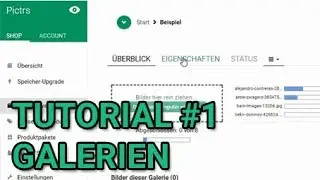 PICTRS Tutorial -  #1 Wie richte ich eine Galerie ein?