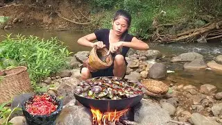 Adventure, Catching River Shells, Boiling and frying with spicy recipe for jungle food