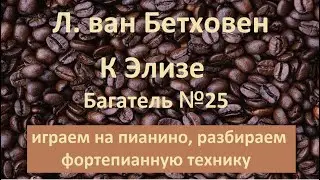 Л. ван Бетховен "К Элизе" играем на пианино, осваиваем фортепианную технику