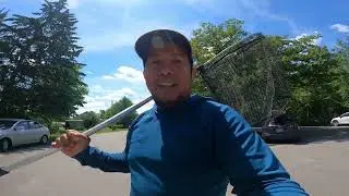 Gaspereau fishing | New Brunswick