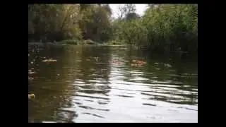По Северскому Донцу. Октябрь.