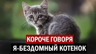КОРОЧЕ ГОВОРЯ, Я БЕЗДОМНЫЙ КОТЕНОК [От первого лица] ИСТОРИЯ ОДНОЙ ЖИЗНИ. БЕЗДОМНЫЙ ЩЕНОК.