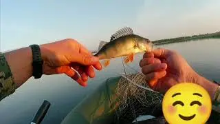 Окунь в жару... Часть 2